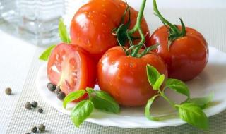 番茄如何快速脱皮 番茄去皮的方法